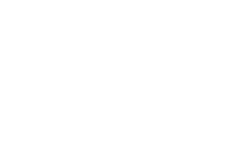 XQuisite Limo UG – Projektansicht