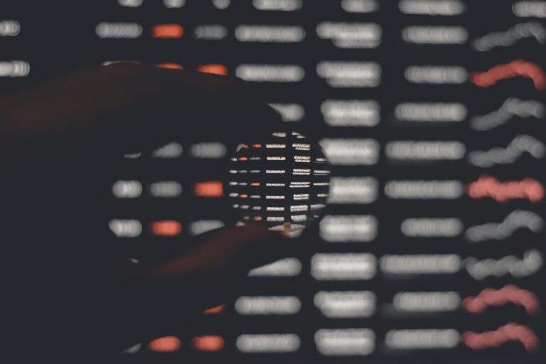 WordPress Sicherheitslücken im Fokus
