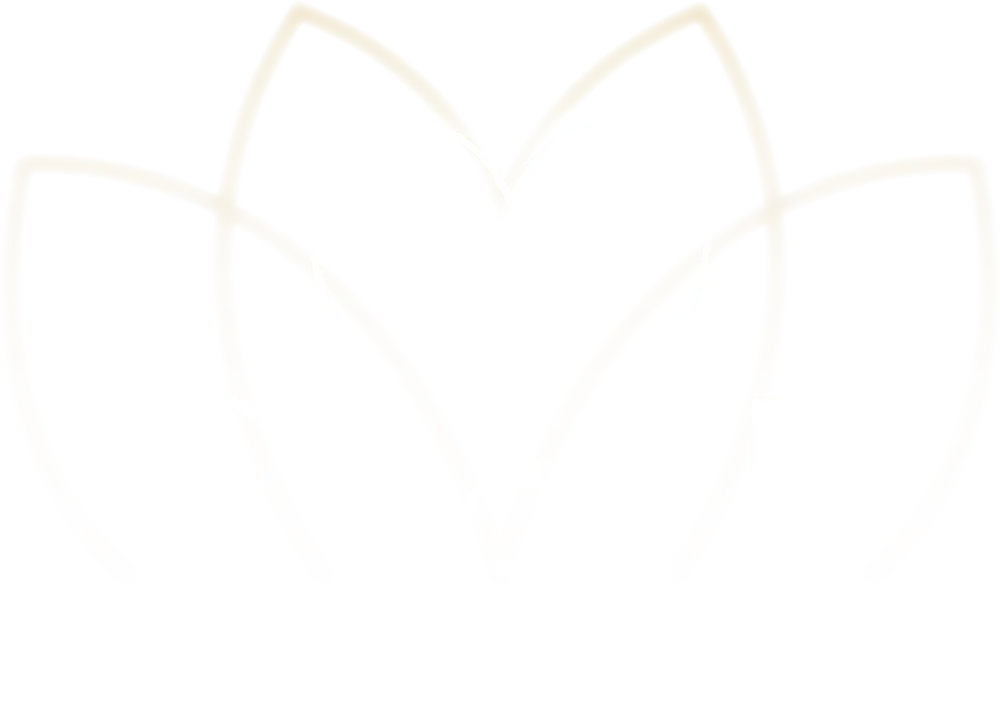 Shape Juwelier – Projektansicht