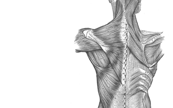 BKP Physiotherapie